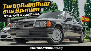 190er W201 der beste Benz aller Zeiten?| 2.5Turbodiesel | Kifferbenz, Opamobil oder Kult der 90er?!