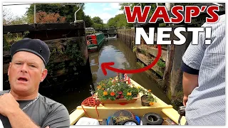 217 - Our First Cruise On The Dreaded Kennet & Avon Canal | Wasp's Nest In A Lock Gate!