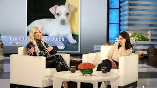 Erika Jayne Gives Her Opinion on 'PuppyGate' and If Lisa Vanderpump Will Return to 'RHOBH'