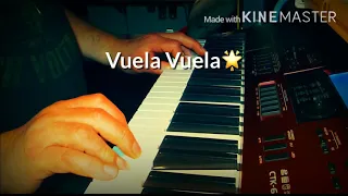 VUELA VUELA - MAGNETO -  COVER