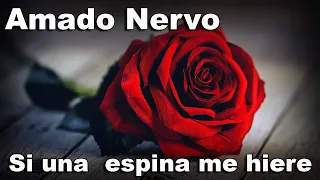 AMADO NERVO GRAN POETA!! Si una espina me hiere - Declamado por FENETÉ