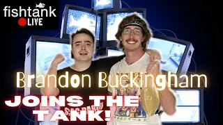 Brandon Buckingham Joins The Tank w/ Alex Stein ! - Fishtank Live recap