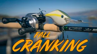 Deep Crankbaits Tricks To Catch More Bass This Fall