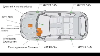 Вебинар "Система TPMS": Описание и Диагностика неисправностей.