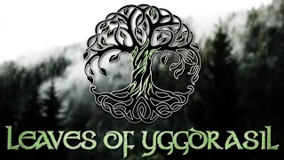 Leaves of Yggdrasil (Myrkur) - Hurdy Gurdy Cover