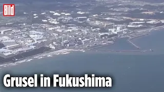 Drohne filmt in Fukushimas Reaktor-Ruine