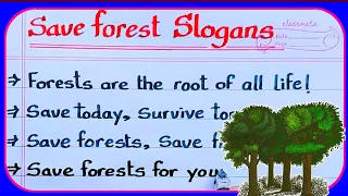 save forest slogans in English | slogans on save forest in English | save trees slogans |