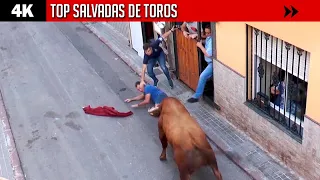 🔝 TOP SALVADAS 🤍 Descubre las mejores salvadas de YOUTUBE (te va a sorprender)