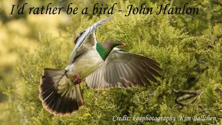 John Hanlon (NZ)  -  I'd rather be a bird (1974)