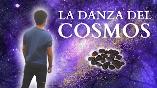 Mi Experiencia con YOPO (DMT) | La danza cósmica Sikuani