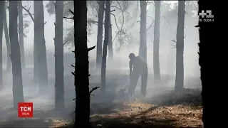 Через спекотну та суху погоду в Україні спалахують лісові пожежі та займається трава