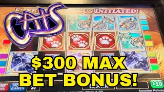 $300 SPINS ON CATS GIVES ME THE WIN! 🤑🤑🤑