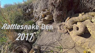 Rattlesnake Den in 4K