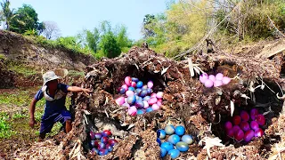 wow amazing! pick a lots of eggs and take bee Broverk Eggs and Krasa Eggs