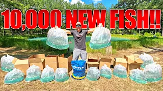 My Backyard Pond is DEAD!! Stocking 10,000 NEW Fish to Bring it Back to Life!