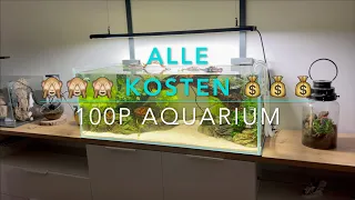 Was kostet mein 100p Aquascape Setup? | 160L Aquarium | ALLE KOSTEN