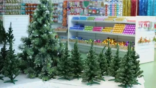 Connecticut residents react to unexpected Christmas Tree Shop closing