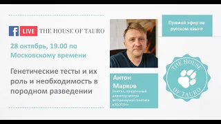 Трансляция c Антоном Марковым