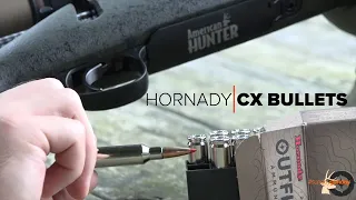 #SundayGunday: Hornady CX Bullets