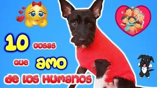 10 COSAS QUE AMO de mi familia humana / Lana Funny Dogs