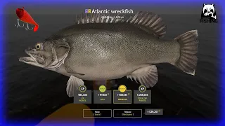 Russian Fishing 4 RF4 Norwegian Sea. TROPHY ATLANTIC WRECKFISH 69.083kg