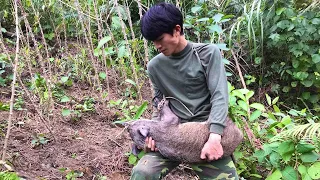 6 Months of Survival Alone in the Wild (FULL VIDEO) : Wild boar traps skills, Build a Farm