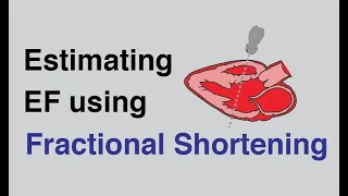 Estimating Ejection Fraction using Fractional Shortening with Cardiac Ultrasound/Echocardiography