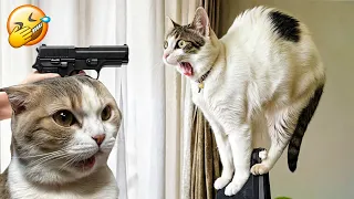 The FUNNIEST Pets Around The World 🌍 | Family Friendly Videos #3