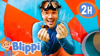 Blippi Explores a Water Park! 🐬| Blippi | Preschool Learning | Moonbug Tiny TV