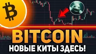 Биткоин Новые Киты Заходят на Рынок! Скоро Сильные Движения Ноябрь 2018 Прогноз