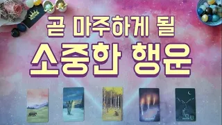 타로 🔮 곧 마주하게 될 소중한 행운