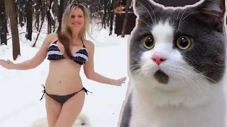 ЛУЧШИЕ ПРИКОЛЫ 2017 ¦ BEST COUB Лучшее ЯНВАРЬ