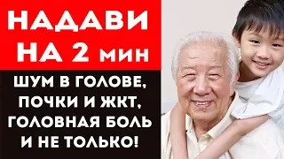 ВОЛШЕБНАЯ ТОЧКА от КИТАЙСКИХ ДОЛГОЖИТЕЛЕЙ! Для почек, ЖКТ, зрения, головная боль и шум в голове