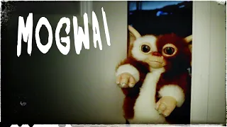 Mogwai: Gremlins Short