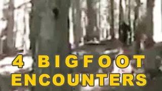 Bigfoot Encounters