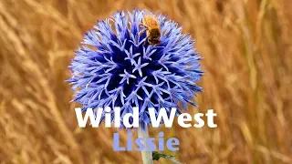 Lissie - Wild West (HD)