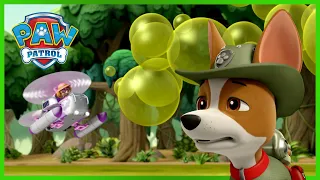 Tlapky a potíže s páchnoucí bublinou - Tlapková Patrola PAW Patrol - pohádky pro děti