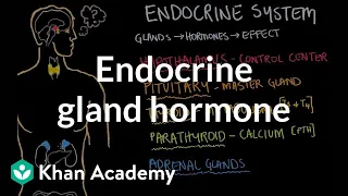 Endocrine gland hormone review | Endocrine system physiology | NCLEX-RN | Khan Academy