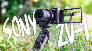 Sony ZV-1, I was SO WRONG about this camera!!!!