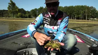 Fishing Frogs in Matted Grass | Tips on Selection