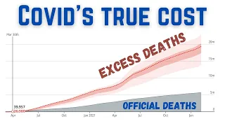 What do excess deaths tell us about the true human cost of Covid-19?