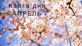 17 апреля 2024 года Карта дня ❤️ Таро предсказание #tarot #love #2024 #предсказание