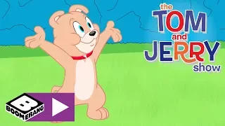 Tom i Jerry Show | Bolesna przegrana | Cartoonito