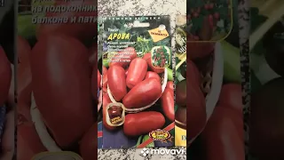 Какие томаты буду сеять в 2023году