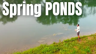 SPRING BASS FISHING In Small PONDS