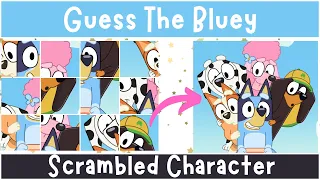 Can You Guess the Bluey Character From A Scrambled Picture?