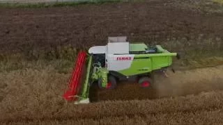 Gerste Dreschen 2016 | Claas Lexion 670 Montana | Phantom