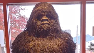 Virtual Tour - The Sasquatch Museum, Harrison Hot Springs, BC.