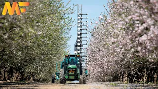 Modern Almond Farming And Harvesting Technology | Almond Processing Factory | Modern Farm➤#35