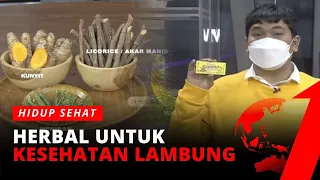 Herbal Untuk Kesehatan Lambung | Hidup Sehat tvOne